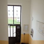 Pronajměte si 1 ložnic/e byt o rozloze 28 m² v Bruntál