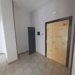 Rent 3 bedroom apartment of 100 m² in Cardito
