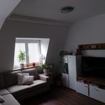 Rent 2 bedroom apartment of 46 m² in Ingolstadt