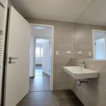 Rent 1 bedroom apartment of 107 m² in Pardubice
