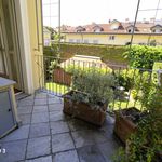 Affitto 5 camera appartamento di 235 m² in Torino
