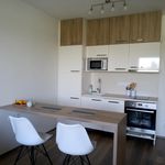 Rent 1 bedroom apartment in Plzeň