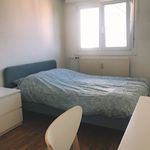 Rent 3 bedroom apartment of 65 m² in Schiltigheim