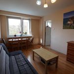 Wynajmij 2 sypialnię apartament z 38 m² w Krośniewice