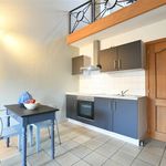 Rent 1 bedroom apartment in Plombières