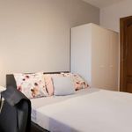 Rent 4 bedroom apartment in Madrid