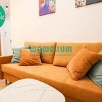 Rent 2 bedroom apartment of 41 m² in Chełm
