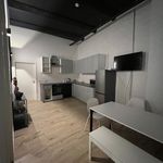 Rent 1 bedroom apartment of 50 m² in Düsseldorf