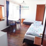 Rent 1 bedroom apartment of 30 m² in Štěnovice