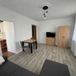 Wynajmij 1 sypialnię apartament z 30 m² w Lodz