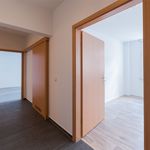 Rent 2 bedroom apartment of 72 m² in Chemnitz