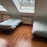 Miete 1 Schlafzimmer wohnung von 33 m² in Leipzig