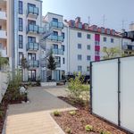 Rent 1 bedroom apartment of 28 m² in München