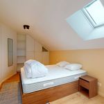 Louez une chambre de 247 m² à Nanterre
