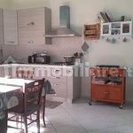 Rent 3 bedroom apartment of 70 m² in Piombino