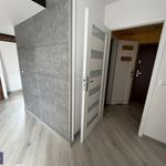 Rent 2 bedroom apartment of 43 m² in Chorzów