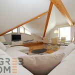 Rent 3 bedroom apartment of 145 m² in Zagreb