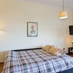 Rent 1 bedroom apartment of 50 m² in Porto