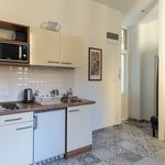 Rent 1 bedroom apartment of 48 m² in Budapest