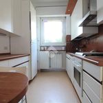 Rent 3 bedroom apartment of 110 m² in Segrate