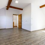 Rent 1 bedroom house of 467 m² in Ždírec