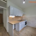 Rent 2 bedroom apartment of 52 m² in Karviná
