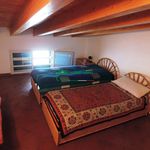 Rent 3 bedroom apartment of 65 m² in Santa Croce Camerina