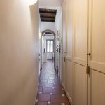 Rent 3 bedroom apartment of 60 m² in Florence