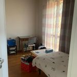 Affitto 2 camera casa di 110 m² in Prato