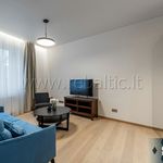Rent 2 bedroom apartment of 41 m² in Vilnius