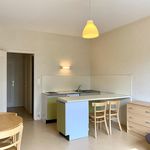 Rent 1 bedroom apartment of 27 m² in Roanne