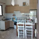 Rent 1 bedroom apartment of 55 m² in Municipal Unit of Rio