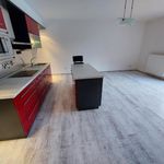 Rent 1 bedroom apartment of 55 m² in Liberec