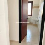 Rent 2 bedroom apartment of 45 m² in Porto Mantovano