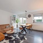 Rent 3 bedroom apartment of 61 m² in Delft