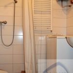 Rent 1 bedroom apartment of 37 m² in Kraslice