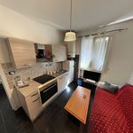 Rent 2 bedroom apartment of 2 m² in bologna