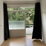 Rent 1 bedroom apartment of 35 m² in Velp