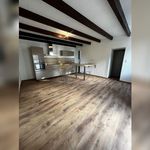 Rent 1 bedroom apartment in Brando