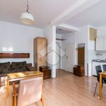 Rent 1 bedroom apartment of 25 m² in Krakow
