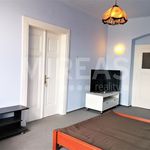 Rent 1 bedroom apartment of 101 m² in Mladá Boleslav