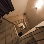 Rent 2 bedroom apartment of 150 m² in Brindisi