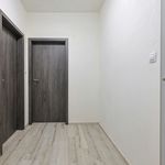 Rent 1 bedroom apartment of 47 m² in Plzeň