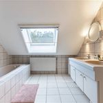 Rent 3 bedroom house in Houthalen-Helchteren
