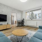 Rent 3 bedroom apartment of 74 m² in Děčín