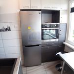 Rent 3 bedroom apartment of 63 m² in Bełchatów