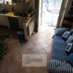 Rent 1 bedroom apartment of 40 m² in Viareggio