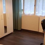 Rent 4 bedroom apartment of 74 m² in Mey