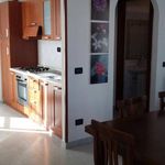Rent 2 bedroom apartment of 85 m² in Massa