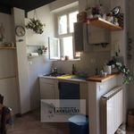 Rent 1 bedroom apartment of 40 m² in Viareggio